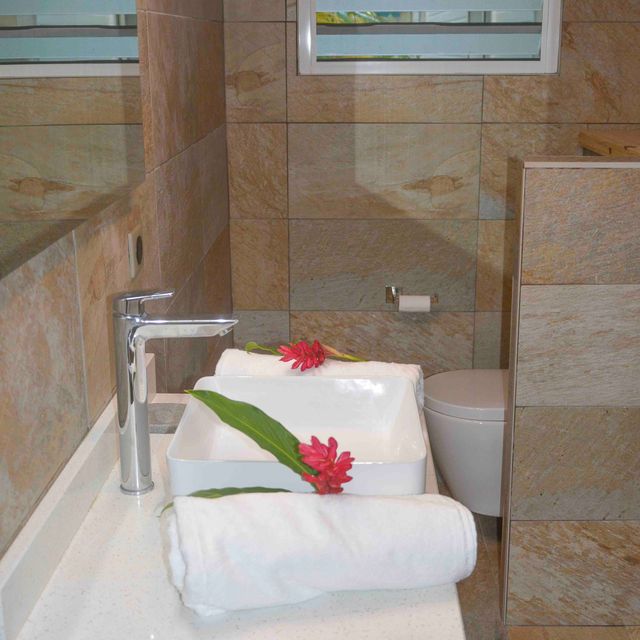 location villa guadeloupe salle de bain 